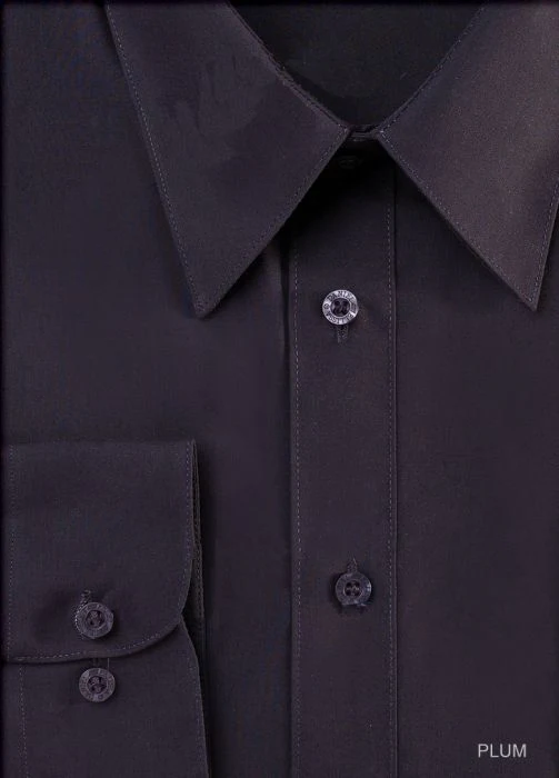 Men's Regular Fit Basic Dress Shirt in Plum Eggplant